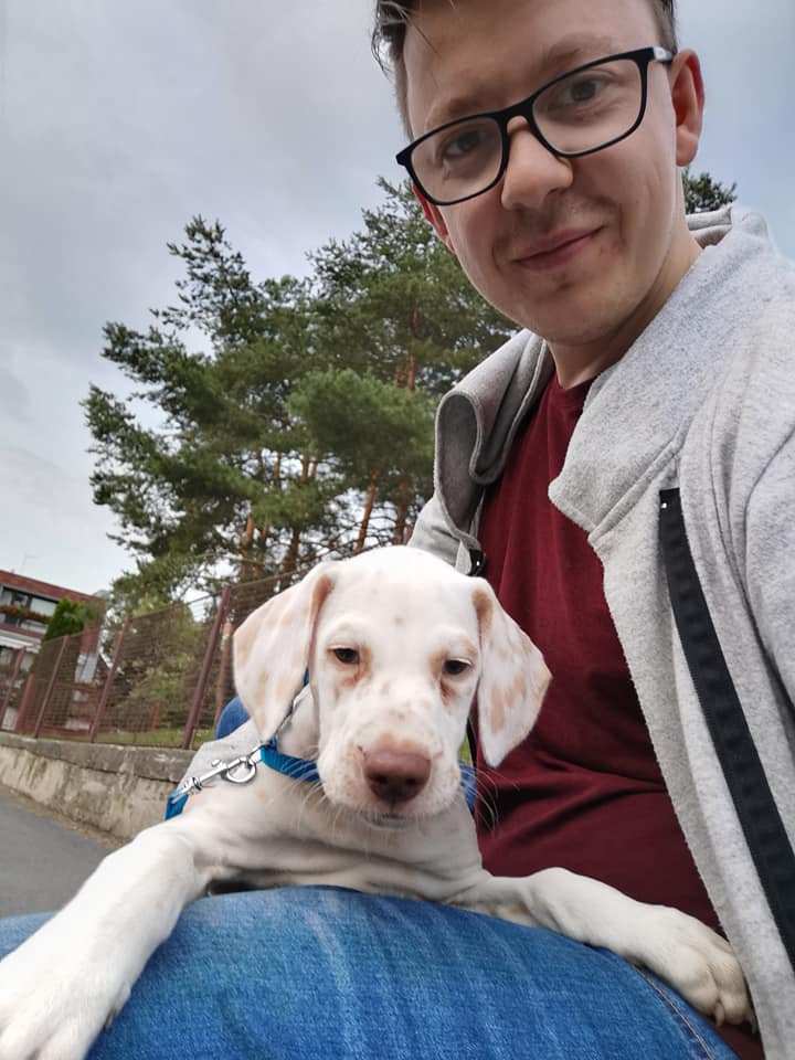 Jak ilustrovat vlastní knihu za pomoci umělé inteligence