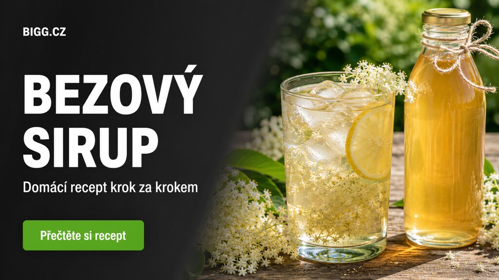 Bezový sirup krok za krokem: domácí recept z květů bezu černého