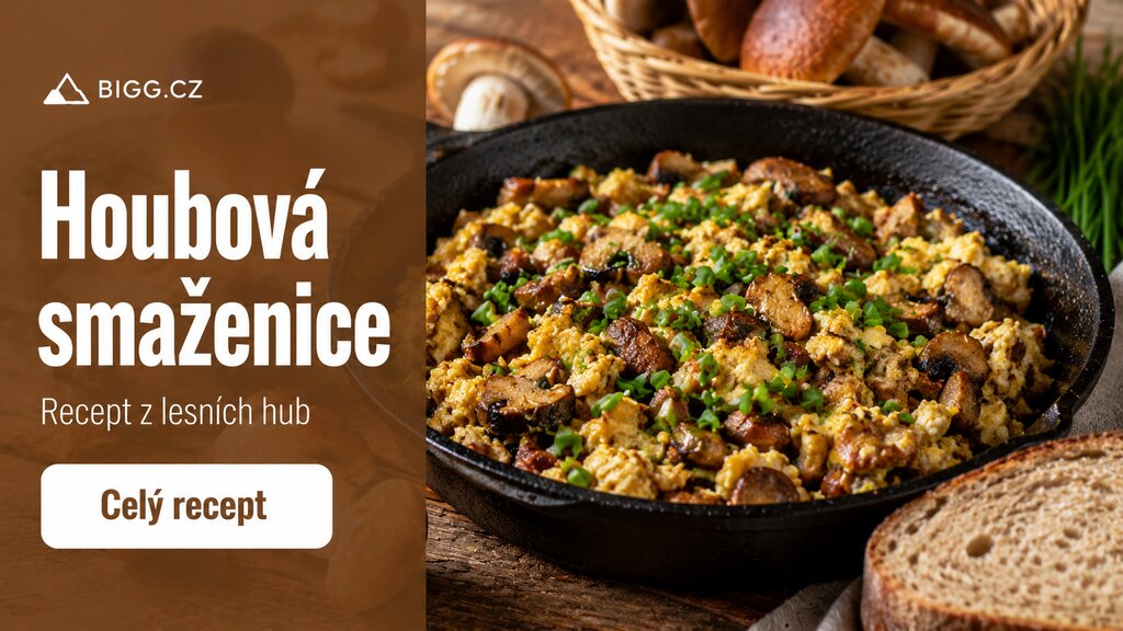 Houbová smaženice — klasický recept z lesních hub