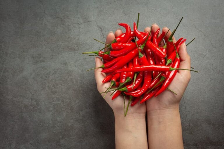 Jak pěstovat chilli papričky