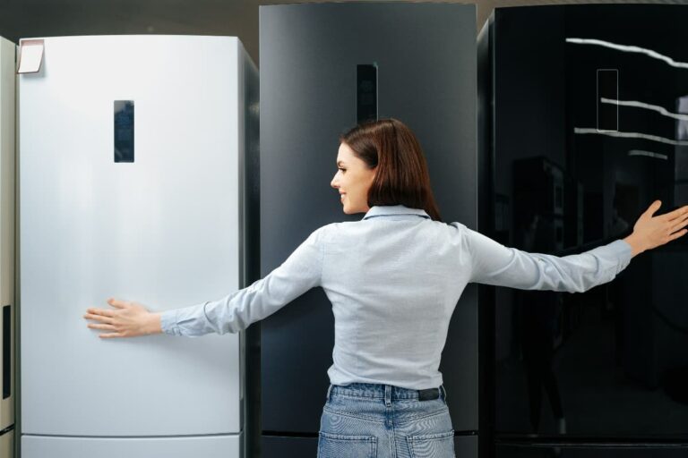 Přečtete si více ze článku Online prodej lednic: Přehled a trendy