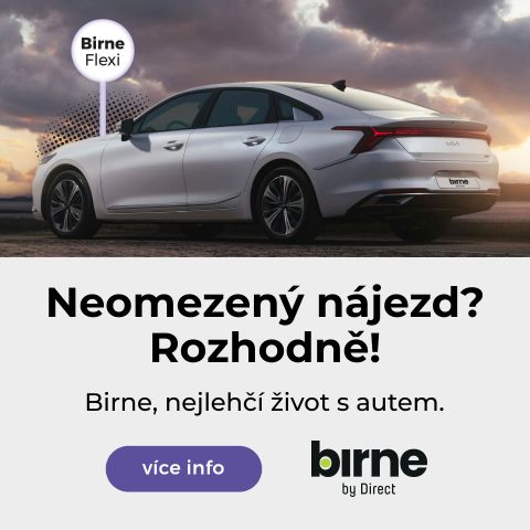 Birne operativní leasing